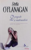 Cumpara ieftin Dragoste si matematica - 2008 - Sheila O Flanagan (AA215)