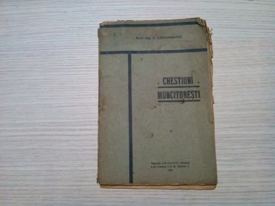 CHESTIUNI MUNCITORESTI - C. Casassovici - Tipografia &amp;quot;Eminescu&amp;quot;, 1919, 48 p. foto