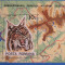 M1 TX3 4 - 1985 - Semicentenarul Parcului national Retezat - colita dantelata