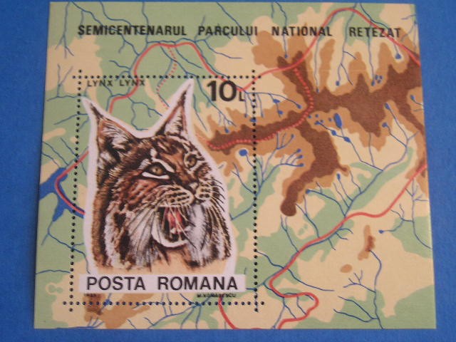 M1 TX3 4 - 1985 - Semicentenarul Parcului national Retezat - colita dantelata