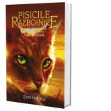 Pisicile Razboinice. Noua profetie. Cartea a XII-a: Apus de Soare (volumul 12) - Erin Hunter