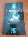 Sorina Soescu, De la celulă la univers