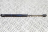 Amortizor capota st&acirc;nga față BMW 7 F01, F02 2008 OEM: 7289753 18267169