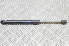Amortizor capota st&acirc;nga față BMW 7 F01, F02 2008 OEM: 7289753 | 18267169