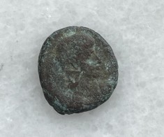 Folis Imperiul Roman (4)