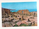 FA149 - Carte Postala - ALGERIA - Tipaza. Ruines Romaine, circulata, Fotografie