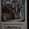 Caminul-Stefana Velisar Teodoreanu