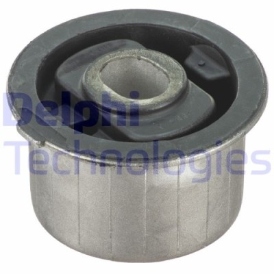 Delphi suport, ax foto