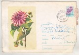 bnk ip Dalie 1964 - circulat 1964