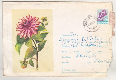 bnk ip Dalie 1964 - circulat 1964 foto