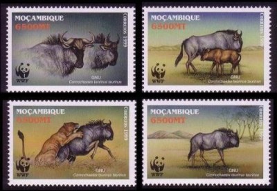 MOZAMBIC 2000 WWF ANTILOPE GNU foto