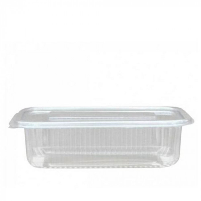 Caserole Capac Atasat, 173x107x69 mm,10 Buc/Set, 1000 ml, Plastic Transparent, Caserole Reactangulare, Caserole de Unica Folosinta Alabala, Caserole c