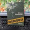 Elena Văcărescu, Memorii, editura Dacia, Cluj Napoca 1989, 163