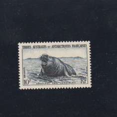 Taaf 1956-Fauna,foci,dantelat,MNH,Mi.6