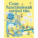 Carte Editura Corint, Cum functioneaza corpul tau, Judy Hindley