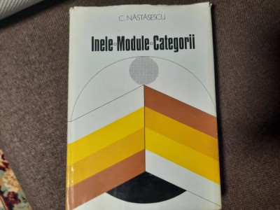 C NASTASESCU INELE ,MODULE ,CATEGORII foto