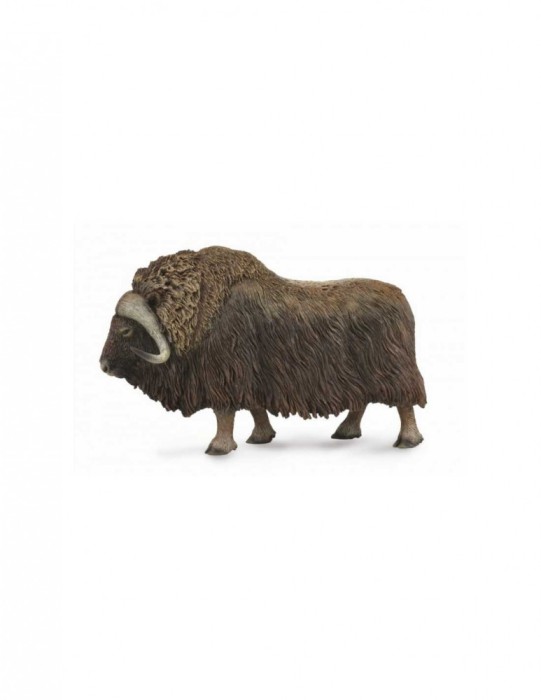 Bivol - Collecta