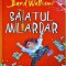 David Walliams - Baiatul miliardar