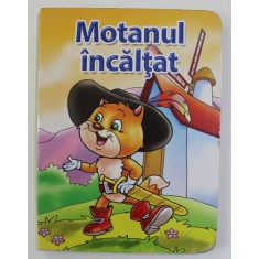 MOTANUL INCALTAT , ANIII &#039;90