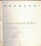 Constantin Brancusi - Mircea Deac. Album de arta, editura Meridiane 1966, 199 pagini, limba romana