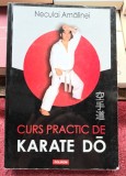 Curs practic de Karate Do - Neculai Amalinei