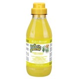Sampon Iv San Bernard cu Ghimbir si Soc, pentru caini si pisici, 500ml