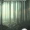 A Divine Intervention: Revelations about Life and Death