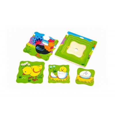 Puzzle in straturi Evolutie cocos, Viga foto