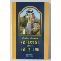 SUFLETUL INTRE RAI SI IAD , PATRUZECI DE ZILE DE LUPTA PENTRU INTRAREA IN RAI de COSTION NICOLESCU , 2016