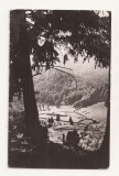RF65 -Carte Postala- Peisaj la Schitul Icoana, necirculata