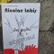 Albatrosul ucis - Nicolae Labis