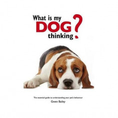 What is my Dog Thinking? : The essential guide to understanding your pet - Paperback brosat - Gwen Bailey - Octopus Publishing Group