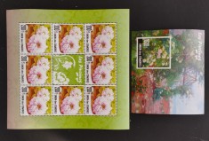 INS.COMORE-BUJORI-IN 1 COALA MICA + 1 COLITA.-MNH**.-ICO 170 foto