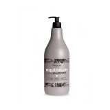 Cumpara ieftin Sampon Antimatreata si degresant 1L Pro.co 1000ml