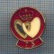 AX 1110 INSIGNA - INTERESANTA -SILVER GILT (ARGINT AURIT? 925) -PT COLECTIONARI
