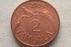 MONEDA 2 TAMBALA 2003-MALAWI foto