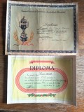 Lot 5 diplome sportive, anii 1950-1960 , perioada comunista / CD1P