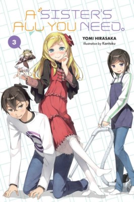 A Sister&amp;#039;s All You Need., Vol. 3 (Light Novel) foto