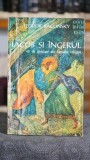 Cumpara ieftin Iacob si ingerul. 45 de ipostaze ale faptului religios - Teodor Baconsky