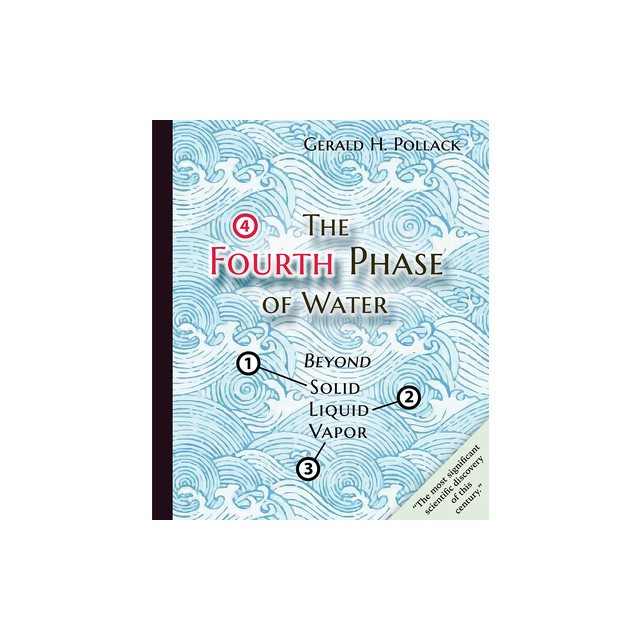 The Fourth Phase of Water: Beyond Solid, Liquid, and Vapor