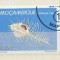 Mozambique 1980 Shells, used AK.035