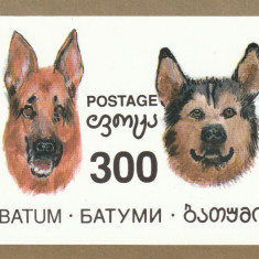 Batum 1994- Fauna, caini,- colita nedantelata,nestampilata,GB-BT Col.16/1