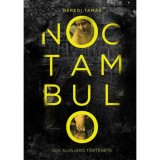 Noctambulo - Egy alvaj&aacute;r&oacute; t&ouml;rt&eacute;nete - 2. jav&iacute;tott kiad&aacute;s - Beregi Tam&aacute;s