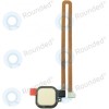 Huawei Honor V8 Fingerprint flex gold