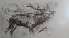 &amp;quot;Cerb&amp;quot;-Szarvas, Pal Csergezan 1974, lucrare originala evaluata de Koller Gallery foto