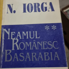 Neamul Romanesc in Basarabia - N. Iorga vol.2