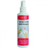 SPRAY CURATARE TABLA MAGNETICA