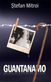 Cumpara ieftin Guantanamo - Hardcover - Ştefan Mitroi - RAO