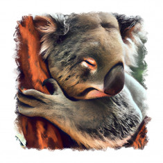 Sticker decorativ Koala, Gri, 55 cm, 11092ST foto