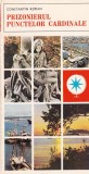 Constantin Roman - Prizonierul punctelor cardinale. Fals jurnal de bord